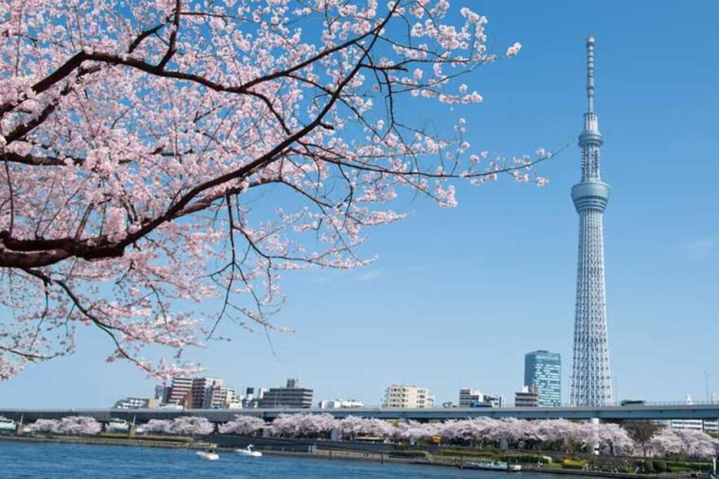 Appartement Tokyo's Spot Shibuya! 3person Free Wi-fi Tōkyō
