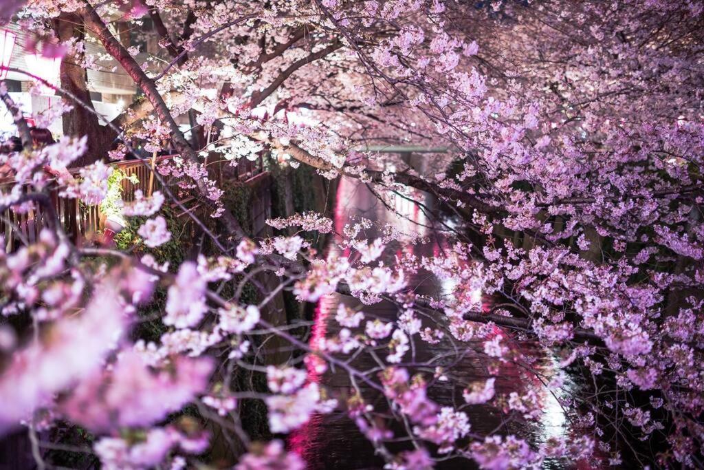 Tokyo's Spot Shibuya! 3person Free Wi-fi * Tokio